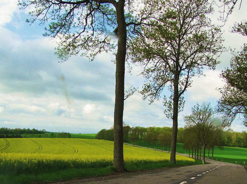 1st Belgian Octagon Tour - dag2 (40).JPG